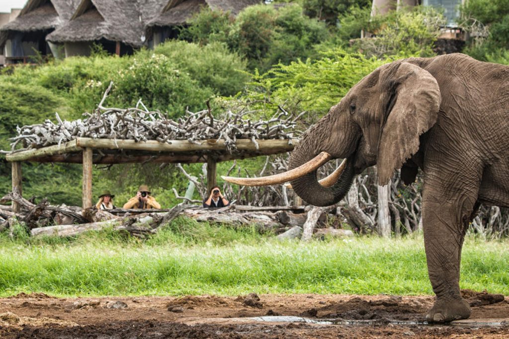 5 Best Family Safaris in East Africa