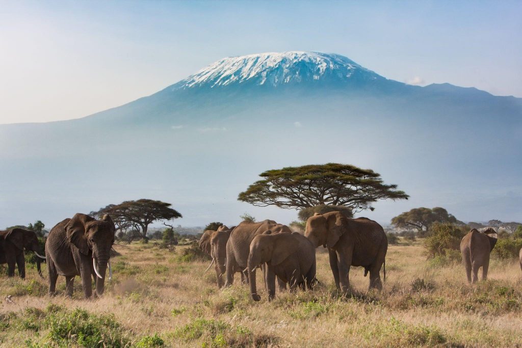Top 5 Worth Knowing Facts About Mount Kilimanjaro