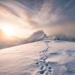 Top Highlights of an Arctic Landscape Tour You Shouldn’t Miss
