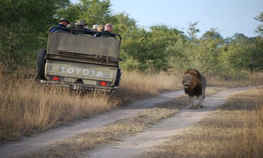 World Adventure Tours: Best Trips for Thrill-Seekers